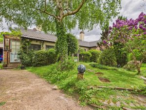 Front- click for photo gallery